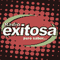 Logo Radio Exitosa en Vivo 88.5 FM